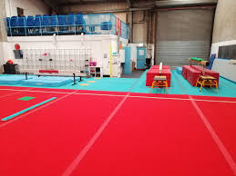 Image result for Coalville Gymnastics Club