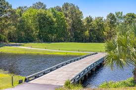 Image result for Moorland Tennis Club