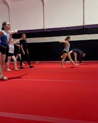 Image result for Kestrel Gymnastic Group