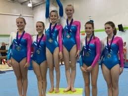 Image result for Forest Of Dean Gymnastics Club