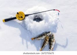 Image result for vissen