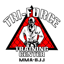 Image result for Tri-Force