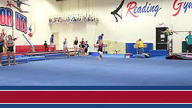 Image result for Redcar School Of Gymnastics