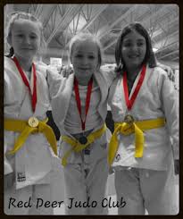 Image result for Redcar Judo Club, Cleveland