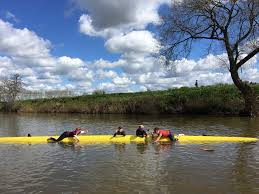 Image result for Ross Rowing Club