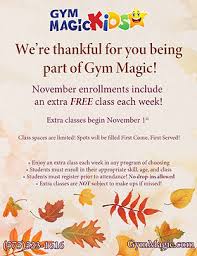 Image result for Gymmagic