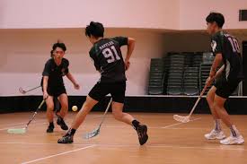 Image result for Basingstoke Demons Floorball Club