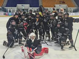 Image result for Cardiff Comets Ladies Ice Hockey
