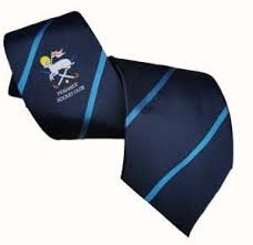 Image result for Penzance Hockey Club