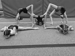 Image result for Falcon Sa Club