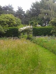 Image result for Priona Tuinen