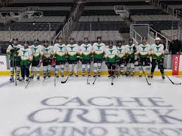 Image result for Leigh Hockey Club