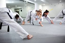 Image result for Crown Tae Kwon Do