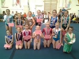 Image result for Brumby Gymnastics Club