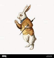 Image result for alice in wonderland rabbit