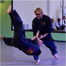 Image result for Budo Shin Ryu Kempo Jujitsu Academy