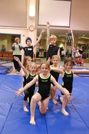 Image result for Hull High Flyers Gymnastics Club