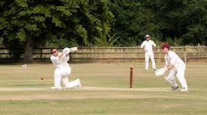 Image result for Buscot Park Cricket Club