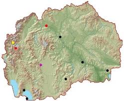 Attēlu rezultāti vaicājumam “Antrodia gossypium”