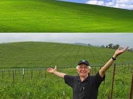Image result for love windows xp wallpaper