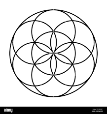 Image result for life flower