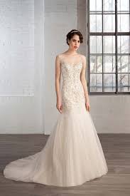 Image result for cosmobella