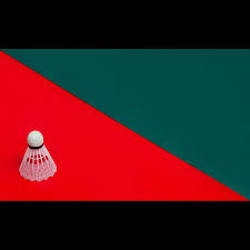 Image result for Trinity (Cheetham Hill) Badminton Club