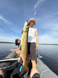 Image result for Esox masquinongy