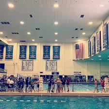 Image result for Selby Tiger Sharks Swimming Club