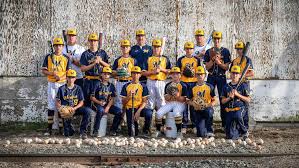 Image result for Team Meridian