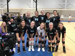 Image result for Ellesmere Port Eels Volleyball Club