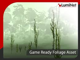 Attēlu rezultāti vaicājumam “Antitrichia curtipendula”