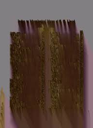 Attēlu rezultāti vaicājumam “Diderma ochraceum young”