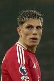 Image result for Manunitid