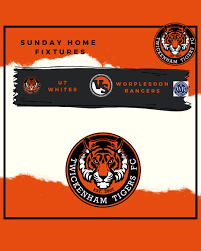 Image result for Worplesdon Rangers Fc