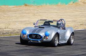 Image result for Cobra Running Club