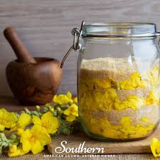 Attēlu rezultāti vaicājumam “Verbascum thapsus fruit”