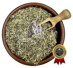 Attēlu rezultāti vaicājumam “Veronica officinalis fruit”