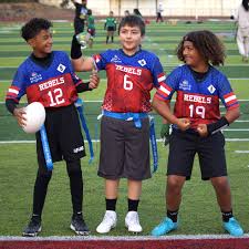 Image result for Phoenix Youth Sc