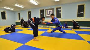 Image result for Unity School Of Jiu Jitsu