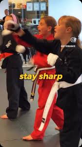 Image result for Action Karate