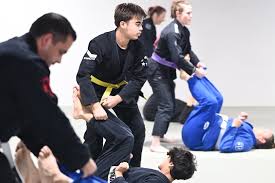 Image result for Oel Ju Jitsu Clubs