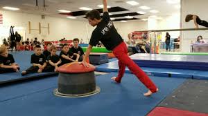 Image result for Acrobrats