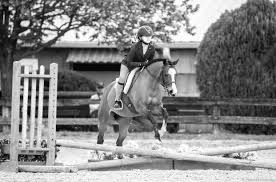 Image result for Shey Copse Riding Centre