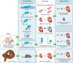 Image result for Sheffield Keep Fit Association