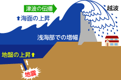 Image result for 高潮 津波 別物