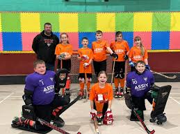 Image result for Sheffield Wildcats Rink Hockey and Roller Skating Club