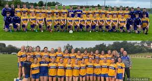 Image result for Silverbridge Harps Gac