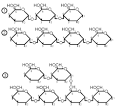 File:<b>Oligosaccharides</b>.gif