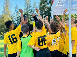 Image result for Fair Oak Badminton Club